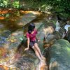 ichel941