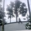 shh_thydonknowjah