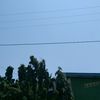 viona.rosario