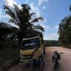 rahmat.ferdi34