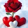 user4800815196507