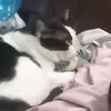 chqncefor