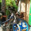 berkah.alba2