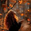 .heba509