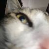 maddie.mudcake13