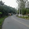 eriquelima31