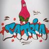 satrian619