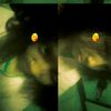 rowwwwwrrr0