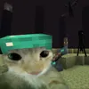 gabri.fantastik