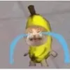 nguynnhnphong