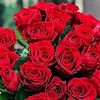 md.ramim1287