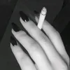 malak51244