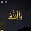 user9024411180524