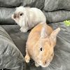 coolranchdoritoandbea
