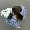aa_12gl