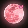 rahaf82727