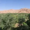 jamal.tighzawi