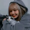 damy7076