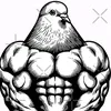 number.1.pidgeon