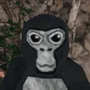 monkegorillatagvr