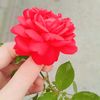 user381993480005049