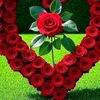 user32811321814614