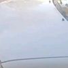 gzjsvsn1