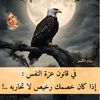 fayrouze.ana