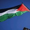 free Palestine 🇵🇸