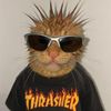 thrasherito.2.0