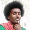 habte.231212