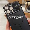 SU GUANG CASE