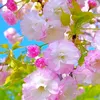 thanh.nguyn5147
