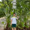 hai.nguyen3292