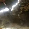 dwarnng