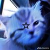 riona_yt_67