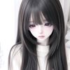 pp260492