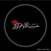 wakeel.bahi5