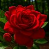 maandeeq.maxamed58