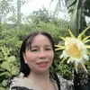 bkim.thanh