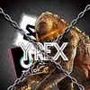 y.rex3