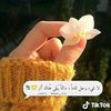 user3421351241620