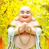 Ngẫm Ngộ Ra. An Lạc