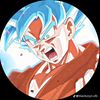 user74086656125815