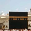 fatimahtulzahra335
