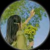 .somie4