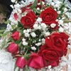 user8361773854353