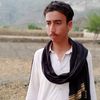 taj.meer.shah.112