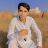 hamidsheikh56