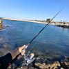 yokfishingchannel